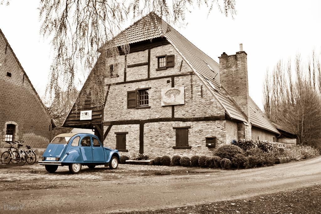 Gastenlogies Blauwe Schaap Ranst Exterior photo